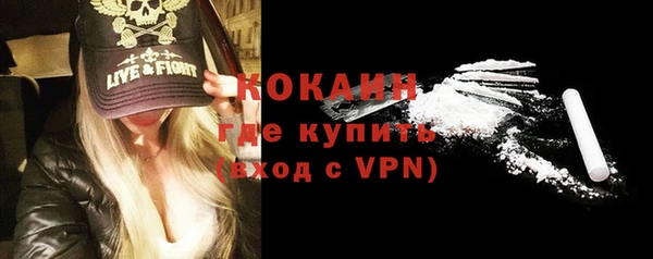 молекула духа Медвежьегорск