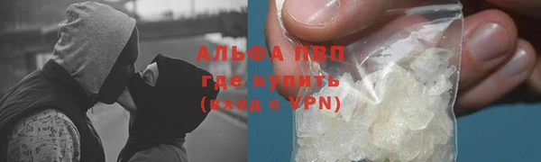 молекула духа Медвежьегорск
