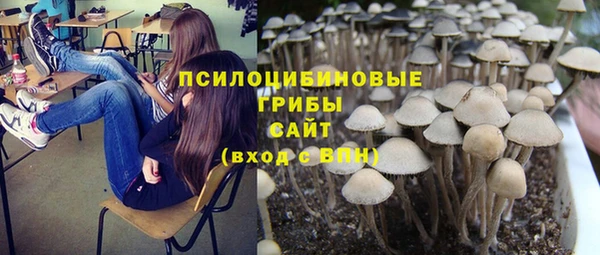 молекула духа Медвежьегорск