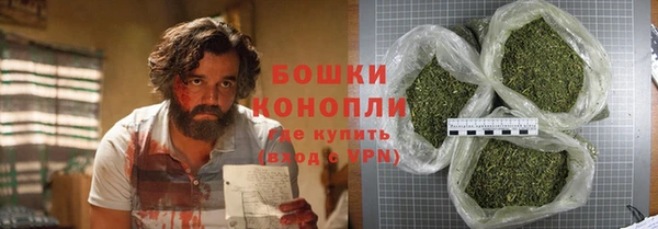 молекула духа Медвежьегорск