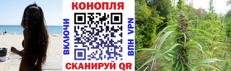 Конопля AK-47  продажа наркотиков  Усть-Катав 